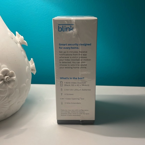 Blink Video Doorbell Two-way audio, HD video, motion & chime app alerts & Alexa. - Picture 9 of 11